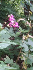 20190817 103742